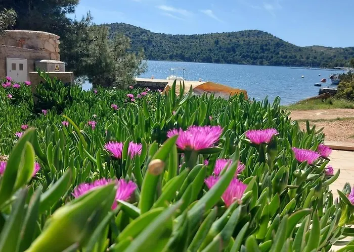 Seaside House For Families With Children Skrivena Luka, Lastovo - 24059 Feriehus