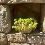 Дом отдыха Seaside House For Families With Children Skrivena Luka, Lastovo - 24059 Skrivena Luka