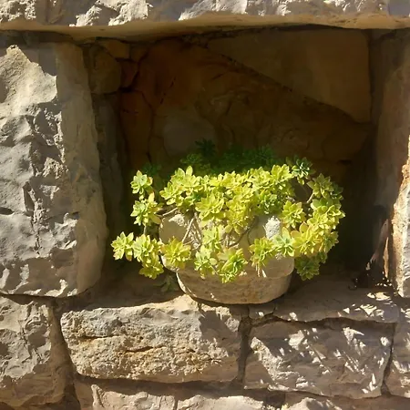 Ferienhaus Seaside House For Families With Children Skrivena Luka, Lastovo - 24059 Skrivena Luka