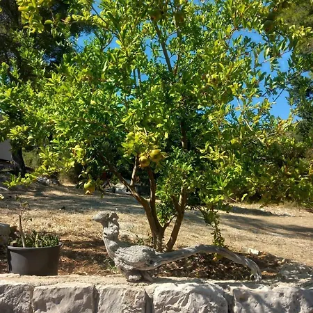 Seaside House For Families With Children Skrivena Luka, Lastovo - 24059 Ferienhaus *