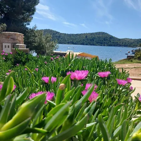 Seaside House For Families With Children Skrivena Luka, Lastovo - 24059 Dom wakacyjny