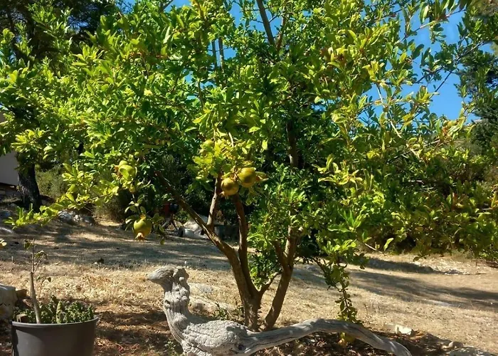 Seaside House For Families With Children Skrivena Luka, Lastovo - 24059 بيت للعطل *